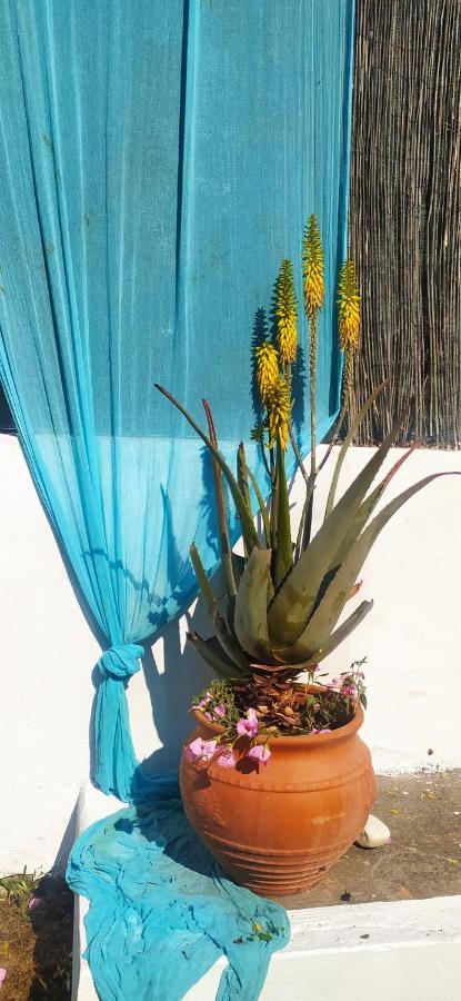 Amaryllis Sweet Home Πύργος Εξωτερικό φωτογραφία
