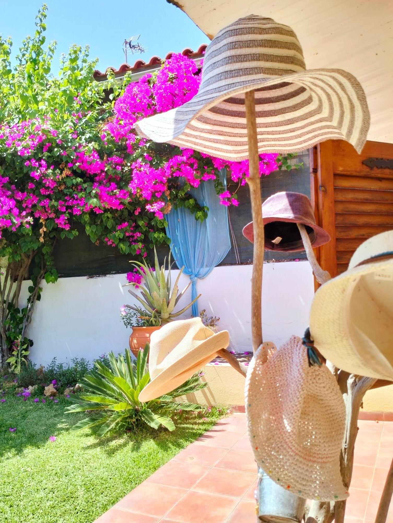 Amaryllis Sweet Home Πύργος Εξωτερικό φωτογραφία